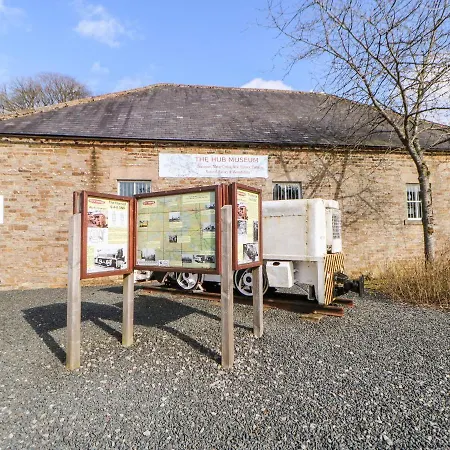 Kings * 阿尔斯通